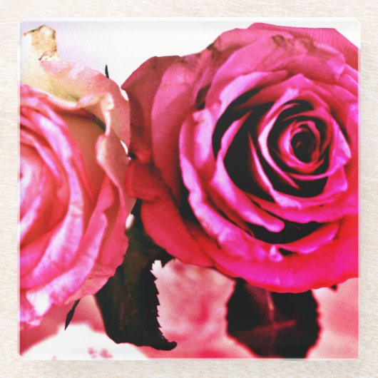 Blühende Rose Glasuntersetzer (Vorderseite)