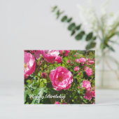 Blühende Rose glücklich zum Geburtstag Feiertagspostkarte (Stehend Vorderseite)