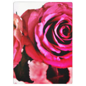 Blühende Rose Klemmbrett (Rückseite)