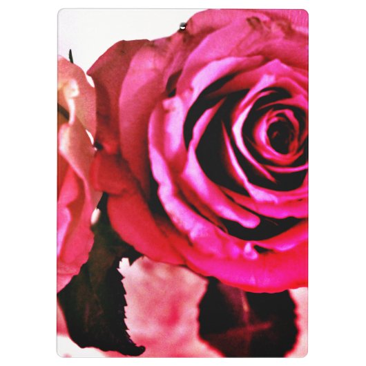 Blühende Rose Klemmbrett (Rückseite)