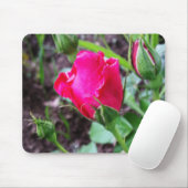blühende Rose pastellfarben Mousepad (Mit Mouse)