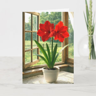 Blühende rote Amaryllis zum Geburtstag  Karte