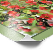 Blühende Rote Blüten Spiegelbild Abstrakt 8x10 Fotodruck (Ecke)