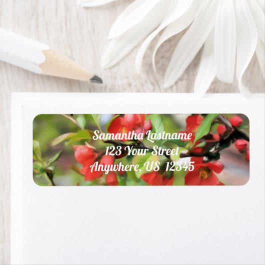 Blühende rote Blütenadresse (Insitu)