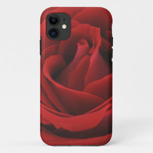 Blühende Rote Rose iPhone 11 Hülle