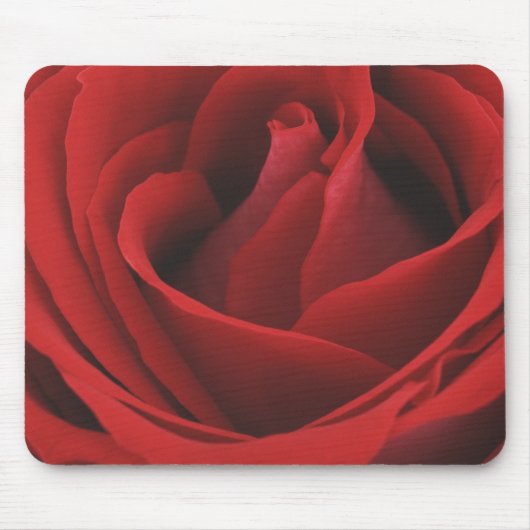 Blühende Rote Rose Mousepad (Vorne)