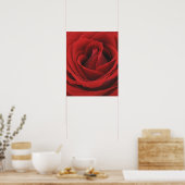 blühende Rote Rose Poster (Küche)