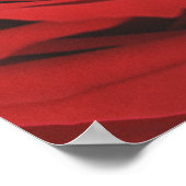 blühende Rote Rose Poster (Ecke)