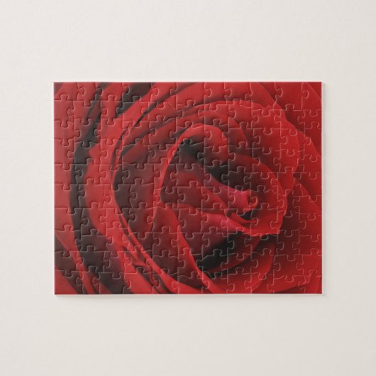 Blühende Rote Rose Puzzle (Horizontal)