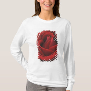 Blühende Rote Rose T-Shirt