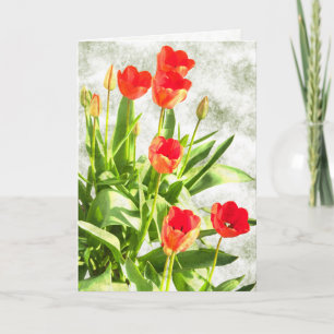 Blühende rote Tulips - Merkkarte