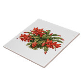 Blühende rote Weihnachtskaktus-Pflanze Fliese (Seite)