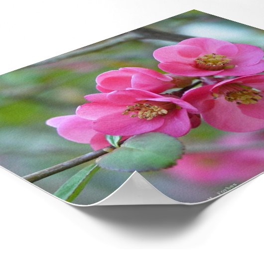 Blühende Ruhe Poster (Ecke)