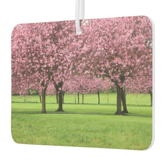 Blühende Sakura-Bäume Autolufterfrischer (Links)