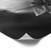 Blühende Scallions Schwarz-weiße Blütendrucke Poster (Ecke)