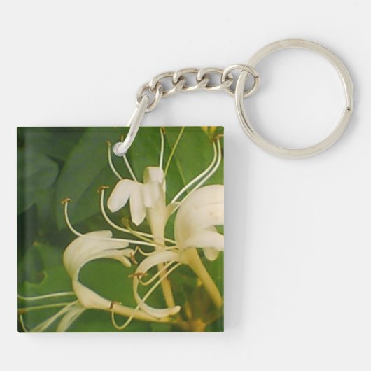 Blühende Schmetterlingshuckles Schlüsselanhänger (Rückseite)