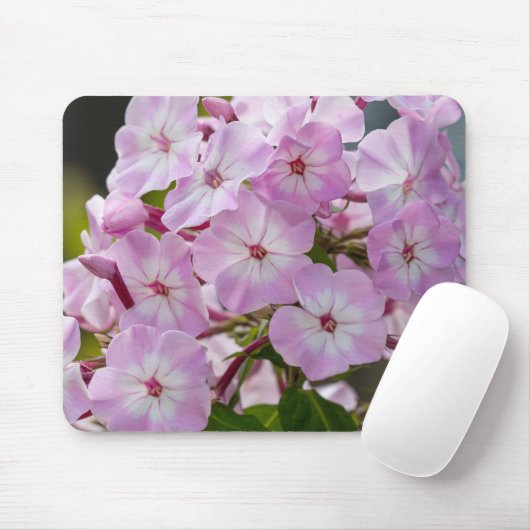 Blühende Schönheit: Phlox-Fotografie faszinieren Mousepad (Mit Mouse)