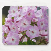 Blühende Schönheit: Phlox-Fotografie faszinieren Mousepad (Vorne)