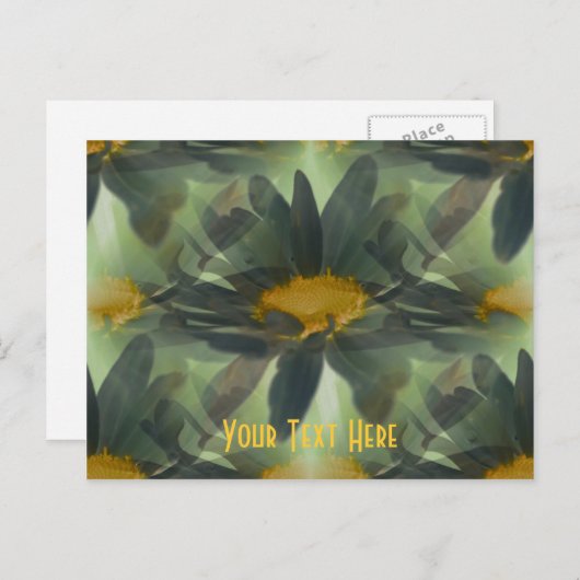 Blühende schwarze Daisis Blumen anpassbare Postkar Postkarte (Vorne/Hinten)