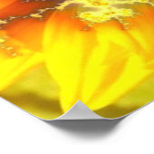 Blühende Sonne - Poster (Ecke)