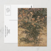 Blühende Sträucher, Vincent van Gogh Postkarte (Vorne/Hinten)