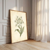 Blühende Tabak Botanische Wandkunst Druck Poster