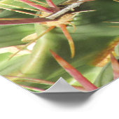 Blühende Teufelskaktus-Poster Poster (Ecke)