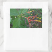 Blühende tropische Blume Rechteckiger Aufkleber (Tasche)