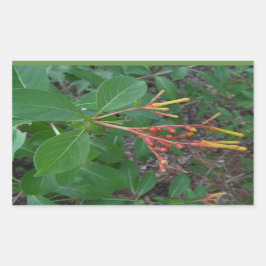 Blühende tropische Blume Rechteckiger Aufkleber