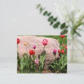 Blühende Tulpen Postkarte (Stehend Vorderseite)