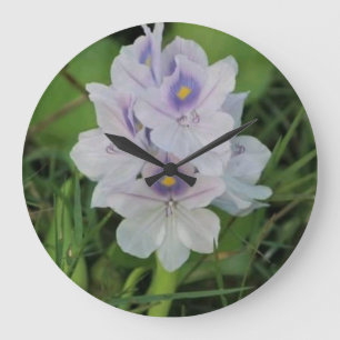 Blühende Wasserhyazinthe - Tropische Wasserblume Große Wanduhr