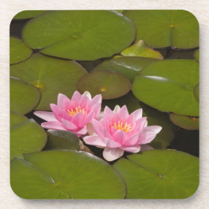 Blühende Wasserliken Getränkeuntersetzer
