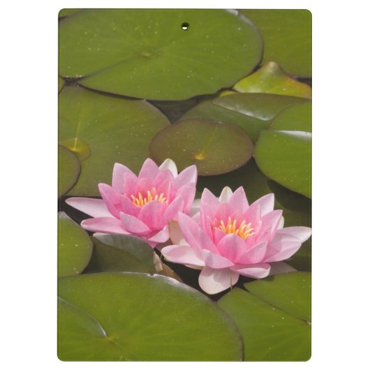 Blühende Wasserliken Klemmbrett (Rückseite)