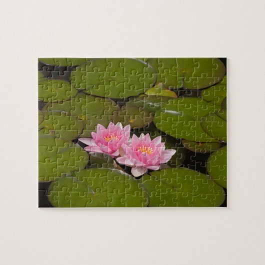 Blühende Wasserliken Puzzle (Horizontal)