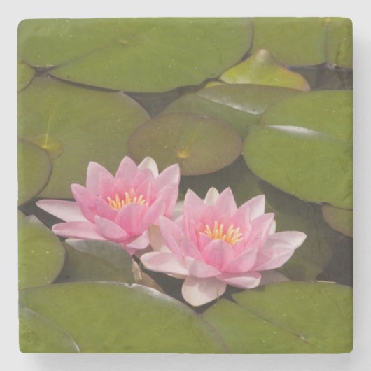 Blühende Wasserliken Steinuntersetzer (Vorderseite)