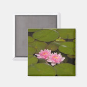 Blühende Wasserliliken Magnet (Vorderseite/Rückseite)