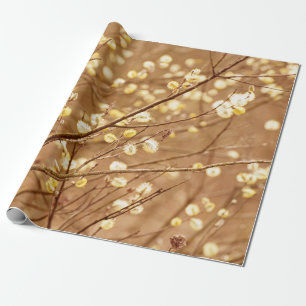 Blühende Weidenzweige im Frühling, saisonal v Geschenkpapier