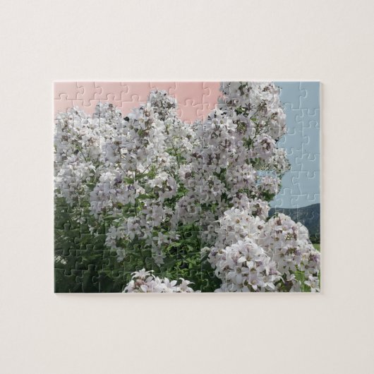 Blühende weiße Blumen Puzzle (Horizontal)