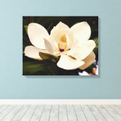 Blühende weiße Magnolia gesteppte Leinwand Print (Insitu (Holzboden))