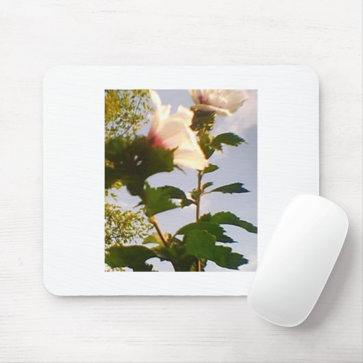 Blühende Weiße Rose im blauen Himmel Mousepad (Mit Mouse)