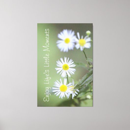 Blühende weiße Wildblumen Leinwanddruck (Vorderseite)