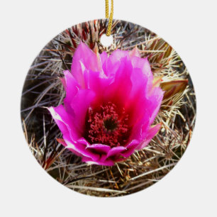 Blühende Wildblume Kaktus (Prickly Birne) Keramik Ornament
