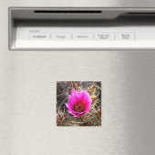 Blühende Wildblume Kaktus (Prickly Birne) Magnet (In Situ (Geschirrspüler))