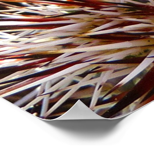 Blühende Wildblume Kaktus (Prickly Birne) Poster (Ecke)