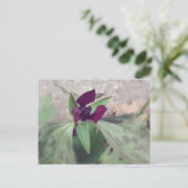 blühende Wildblume Postkarte (Stehend Vorderseite)