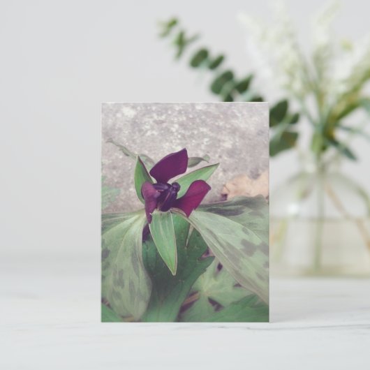 blühende Wildblume Postkarte (Stehend Vorderseite)