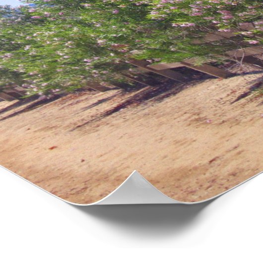 Blühende Wüste und Pfad Poster (Ecke)