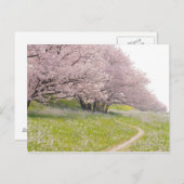 Blühende Yoshino-Kirschbäume in einem Feld Postkarte (Vorne/Hinten)