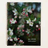 Blühender Apfelbaum Planer (Vorderseite)
