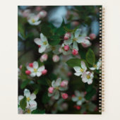 Blühender Apfelbaum Planer (Rückseite)